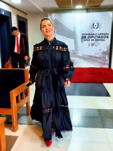 diputada johana vega.jpg