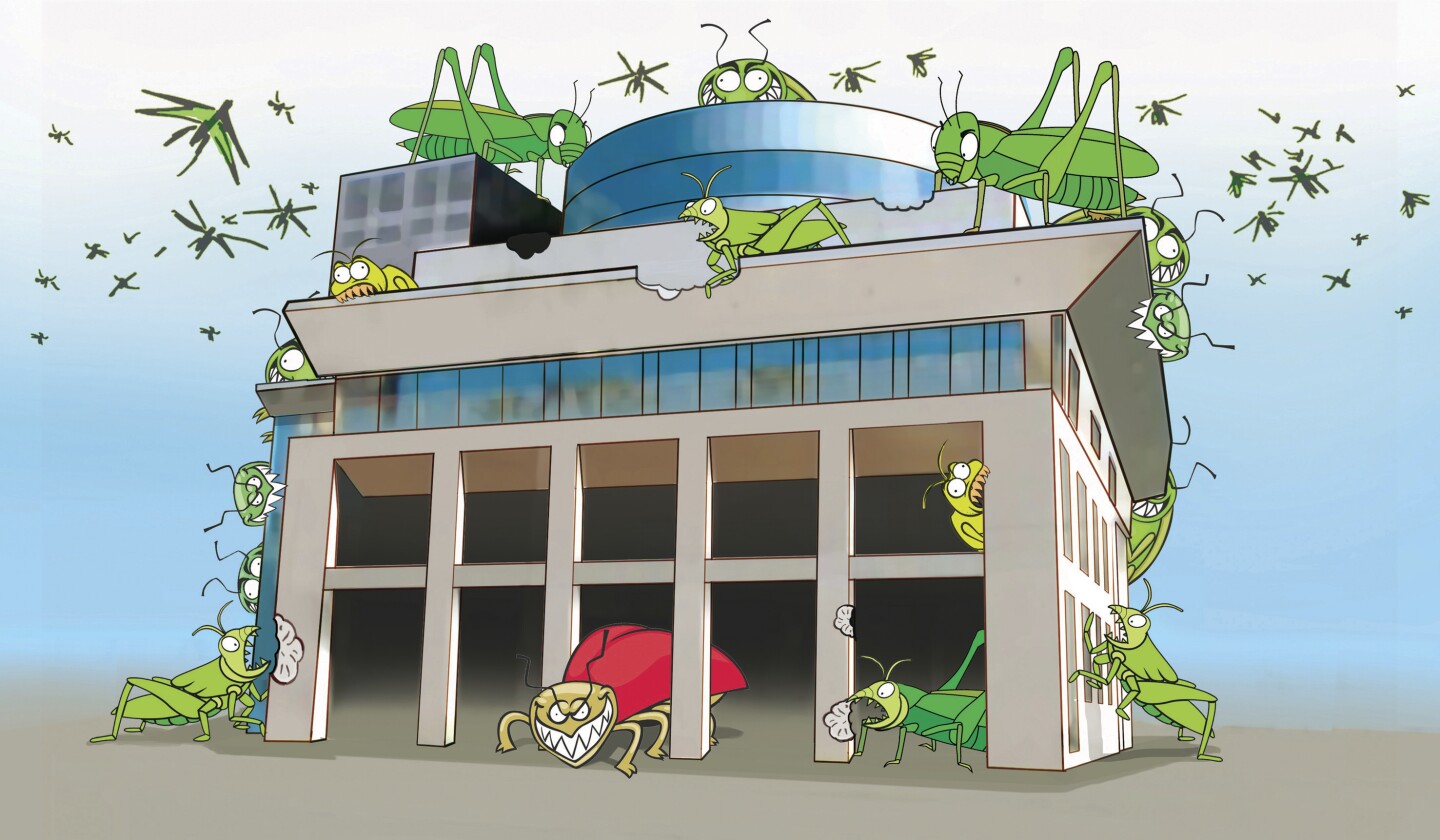 tuku karu nepotismo en el Congreso_4.jpg