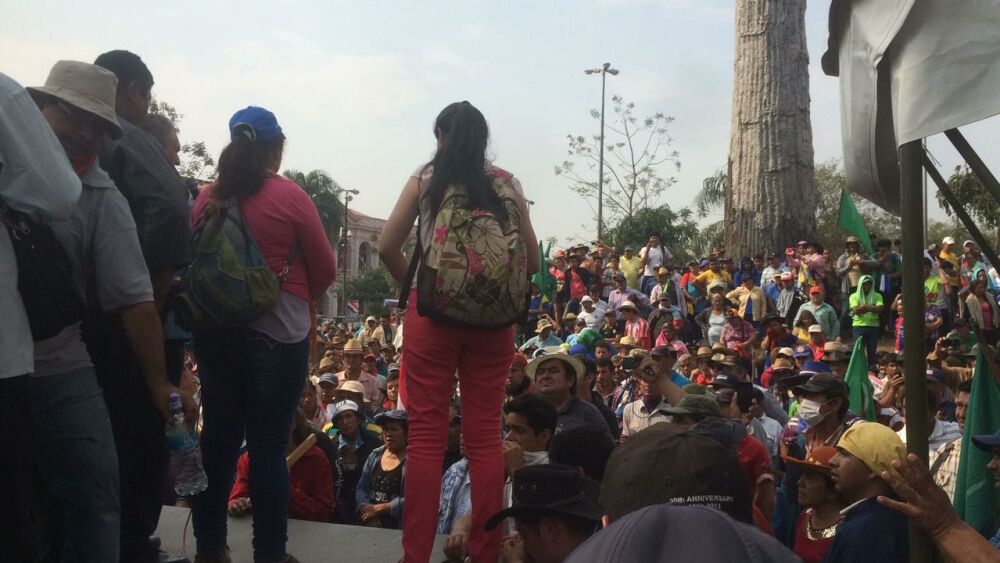 marcha campesinado aguayo 