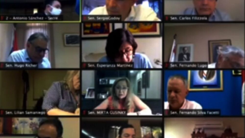 Virtual. Senado debatió sobre la crisis en Venezuela.
