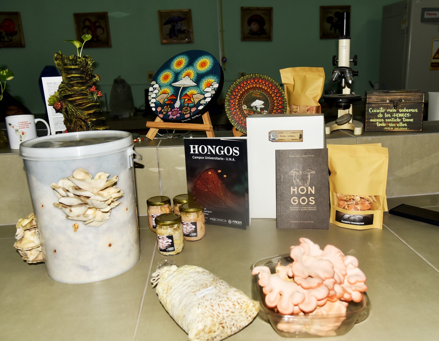 ENTREVISTA SOBRE HONGOS EN LA UNA_19_46900076.jpg