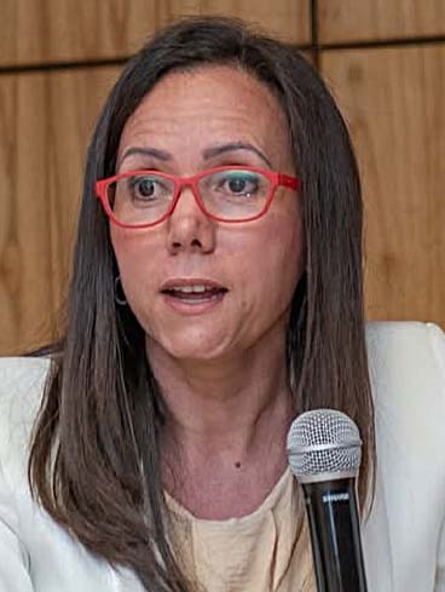 Claudia Sanabria, abogada.jpg