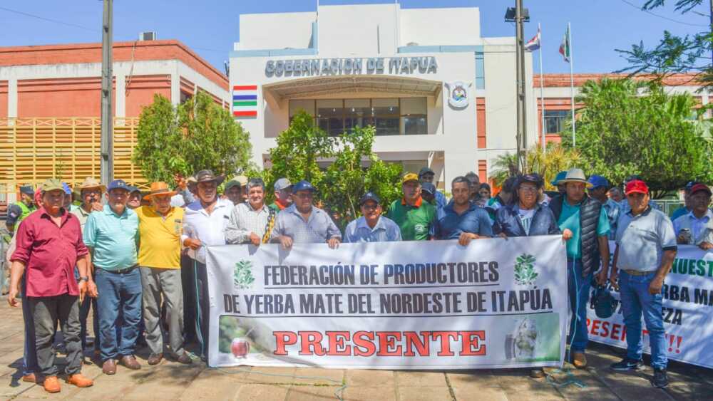 Yerbateros de Itapúa alzan la voz por un precio justo y exigen apoyo al Gobierno