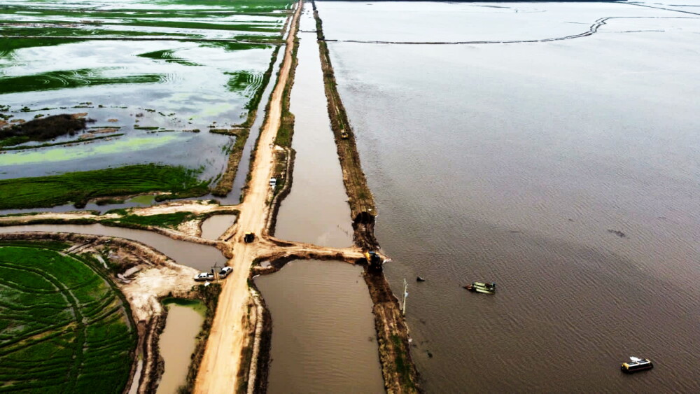 Cultivos de arroz, inundaciones._48194049.jpeg