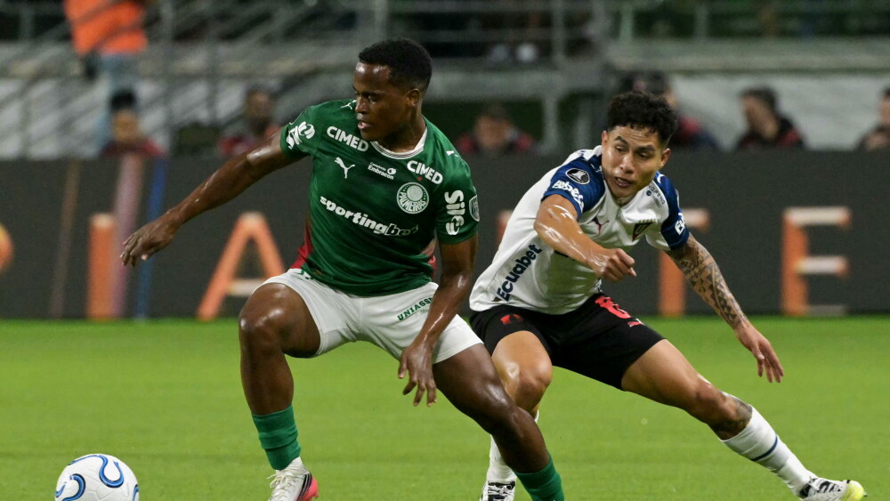 FBL-LIBERTADORES-PALMEIRAS-LIGA