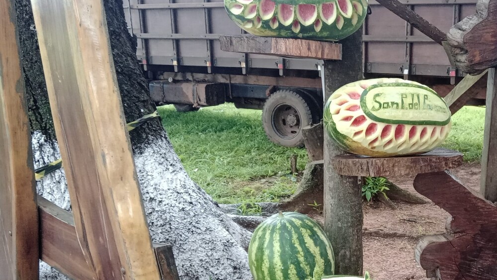 sandía