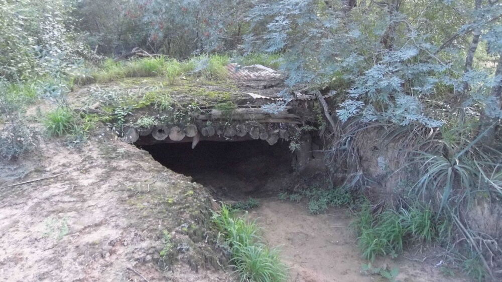 tucas que aún se preservan.jpg