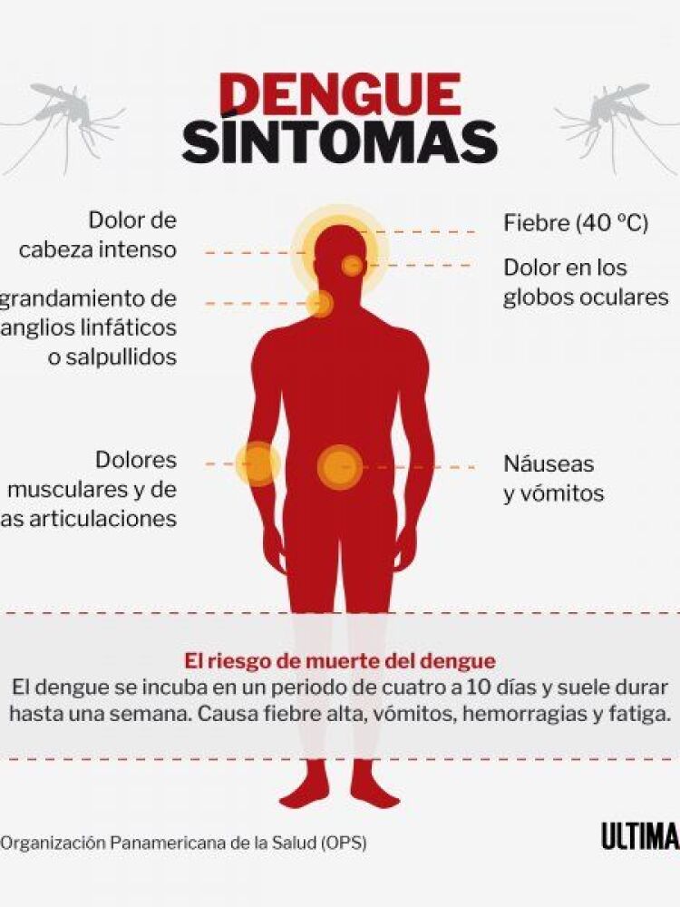 5156994-Mediano-266107734_embed