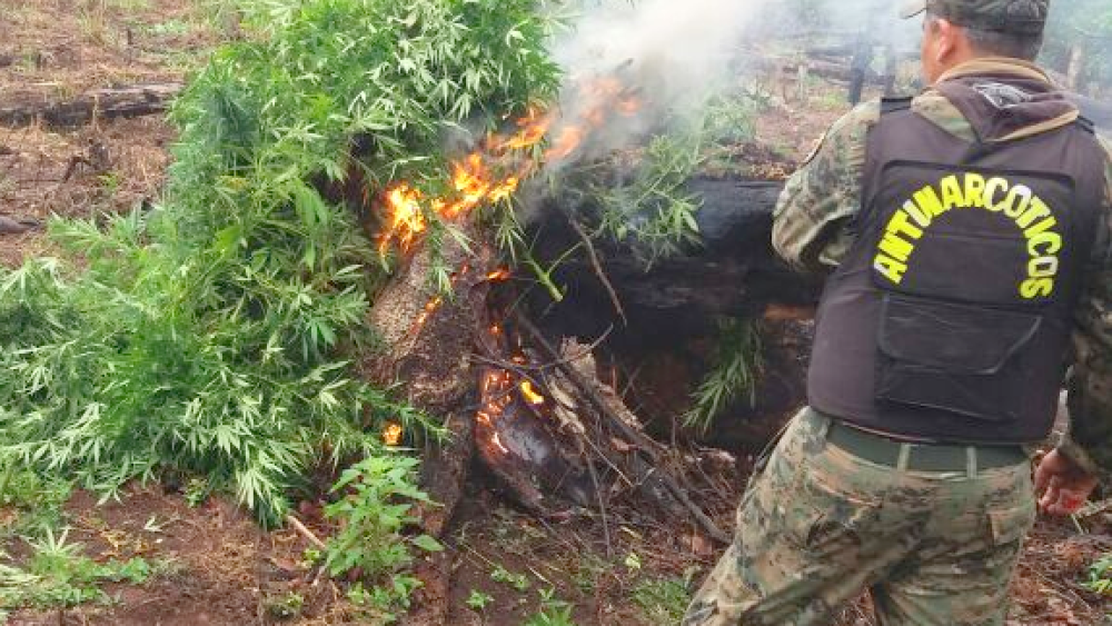 antinarcóticos.PNG