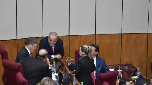 Camara de Senadores, Bachi, cartistas, senado, sesión