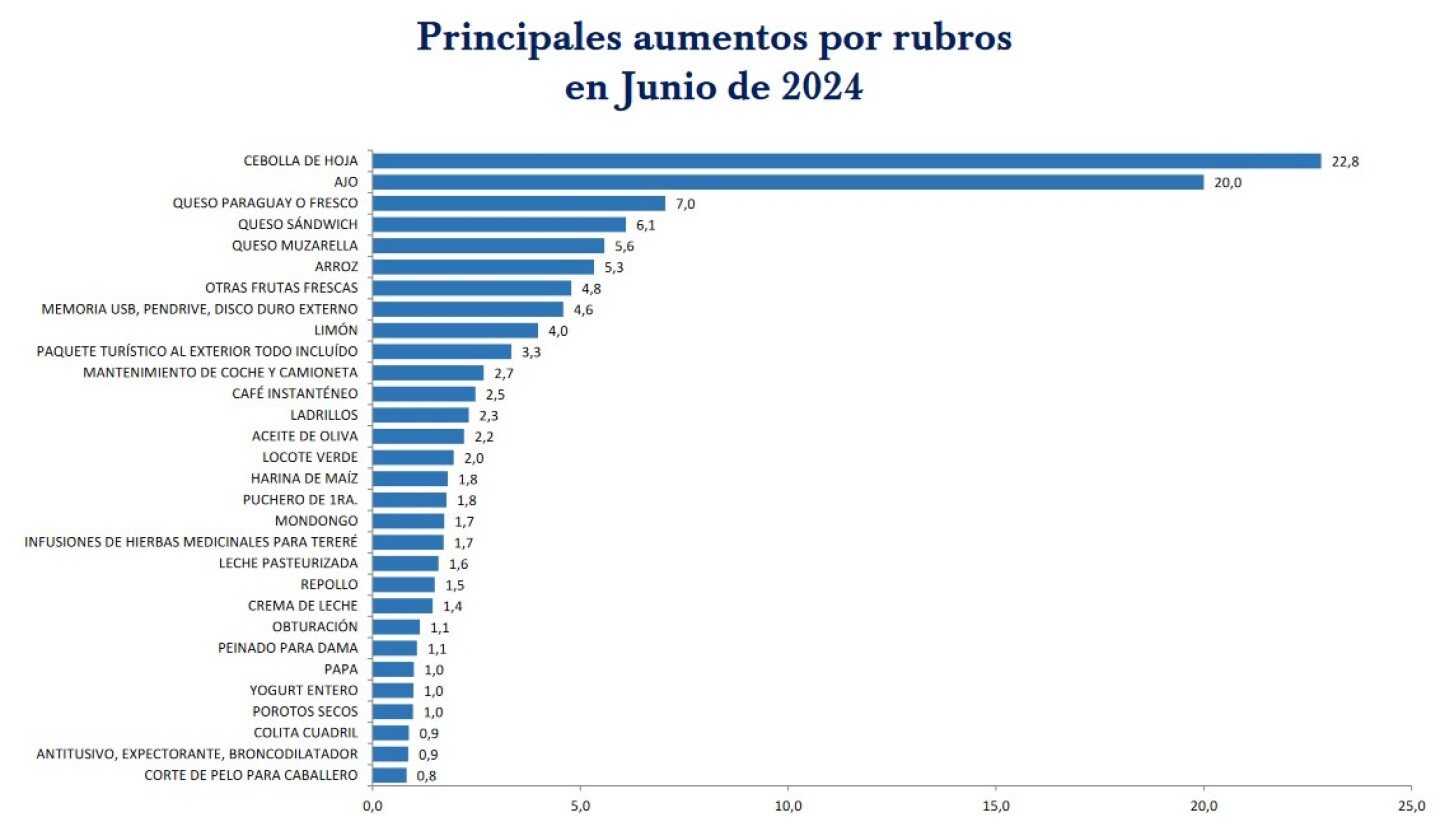 principales aumentos por rubros en junio 2024.jpg