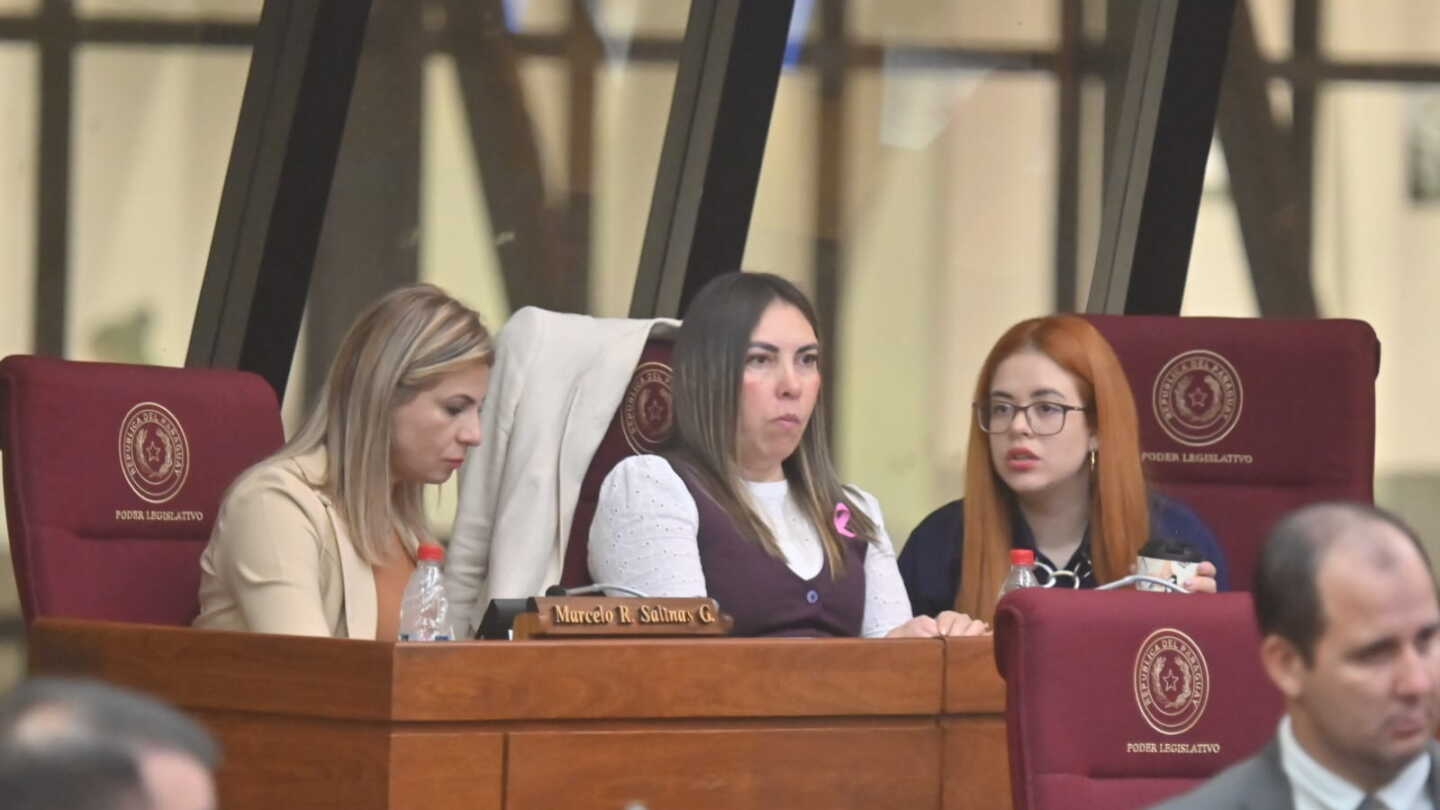 Diputados critican la inacción del Estado frente a los feminicidios