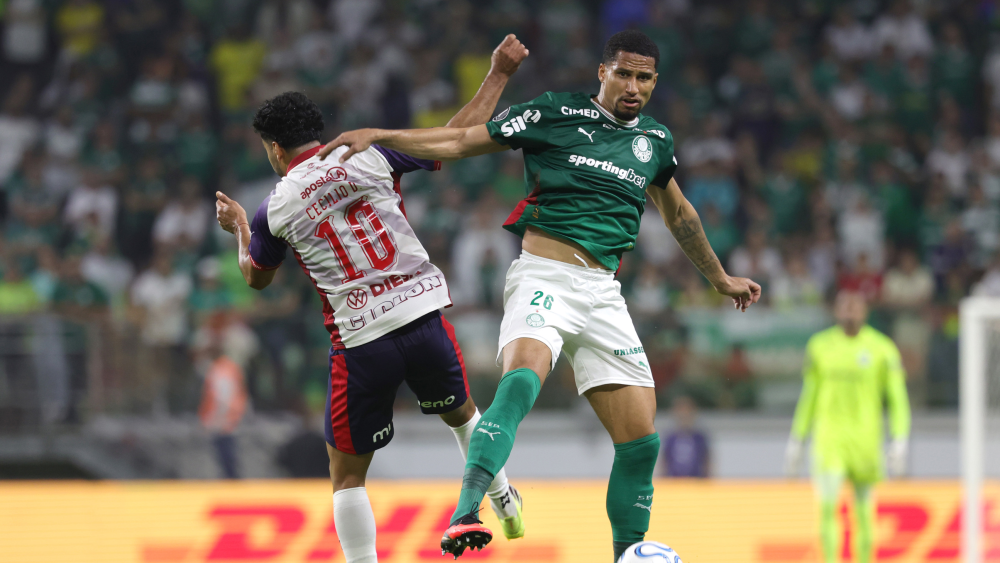 cerro palmeiras_69096281.png