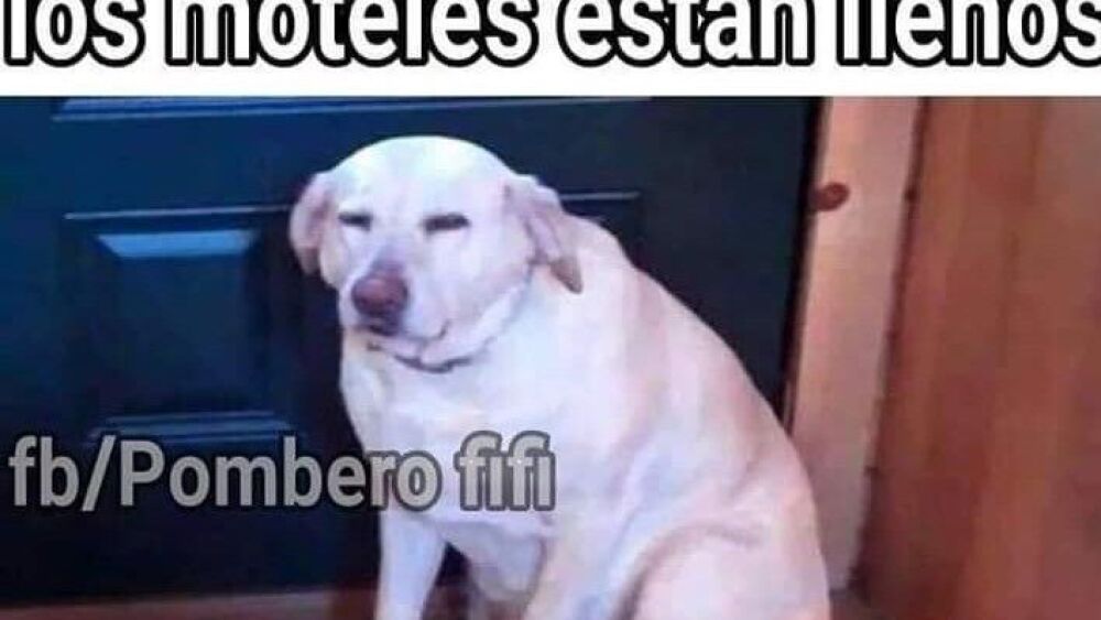 meme-motel.jpeg