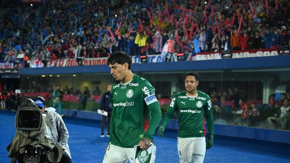 Gustavo Gómez