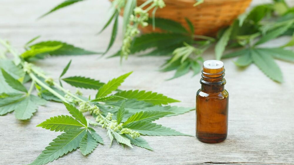 aceite de cannabis.jpg