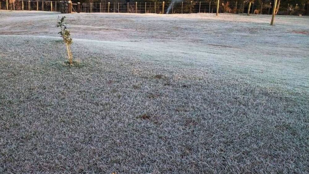 Alto Paraná. Este departamento también recibió con dureza la baja temperatura en la víspera.