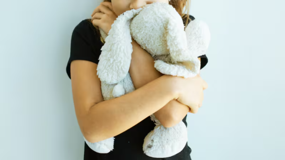 La llegada de los peluches con IA: ¿compañeros emocionales o estimuladores de la intolerancia? Captura de pantalla 2026-08-29 114221.png