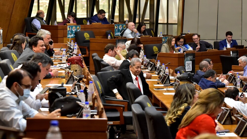 Sesión. Diputados aprobaron crear nueva Dirección..jpg