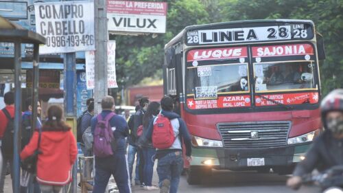 regulada de buses transporte público0.jpeg