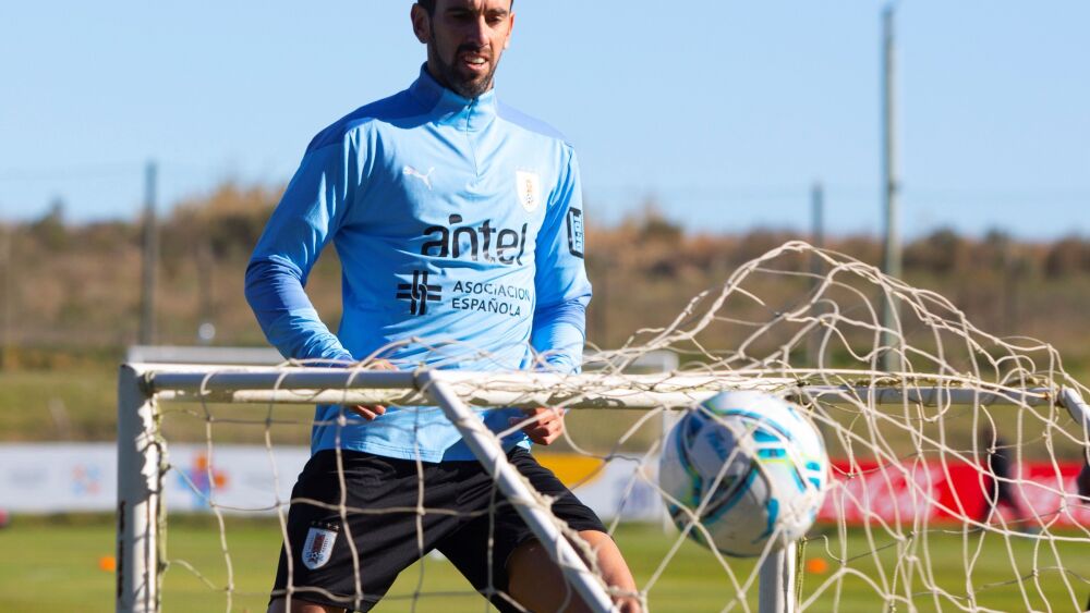 Diego Godín