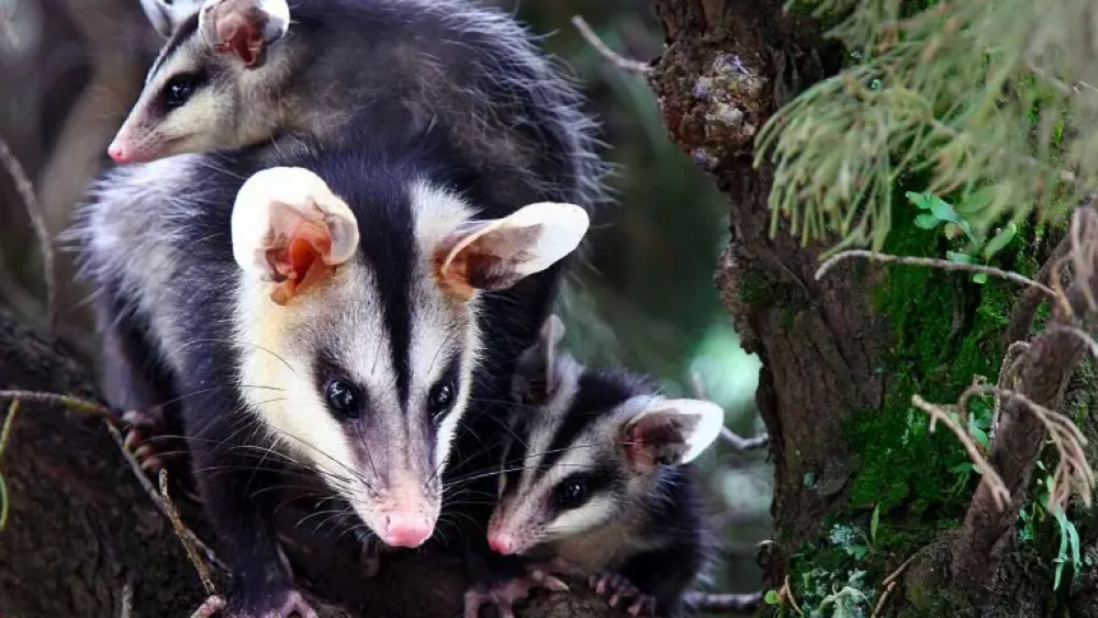 Captura de pantalla 2025-10-30 111117.png