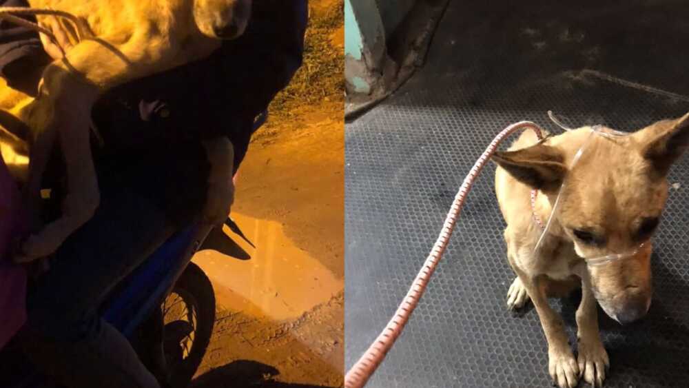 WhatsApp Image 2023-07-18 at 13.14.37.jpeg