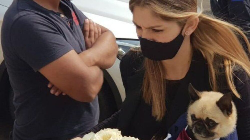 Hasta el perrito de Sol se vistió para la ocasión, re pituco, robándose toda la atención en las redes sociales.