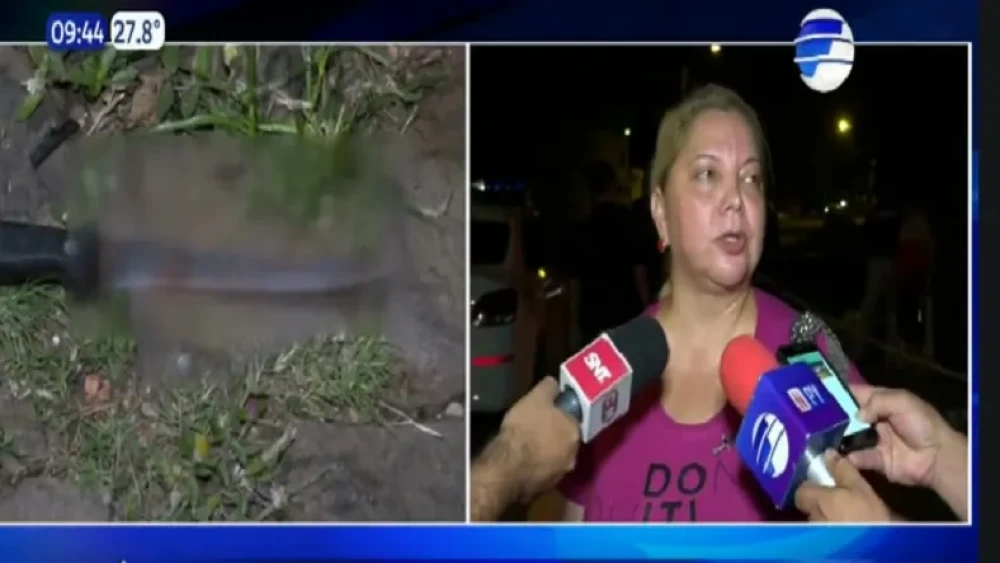 pelea.webp