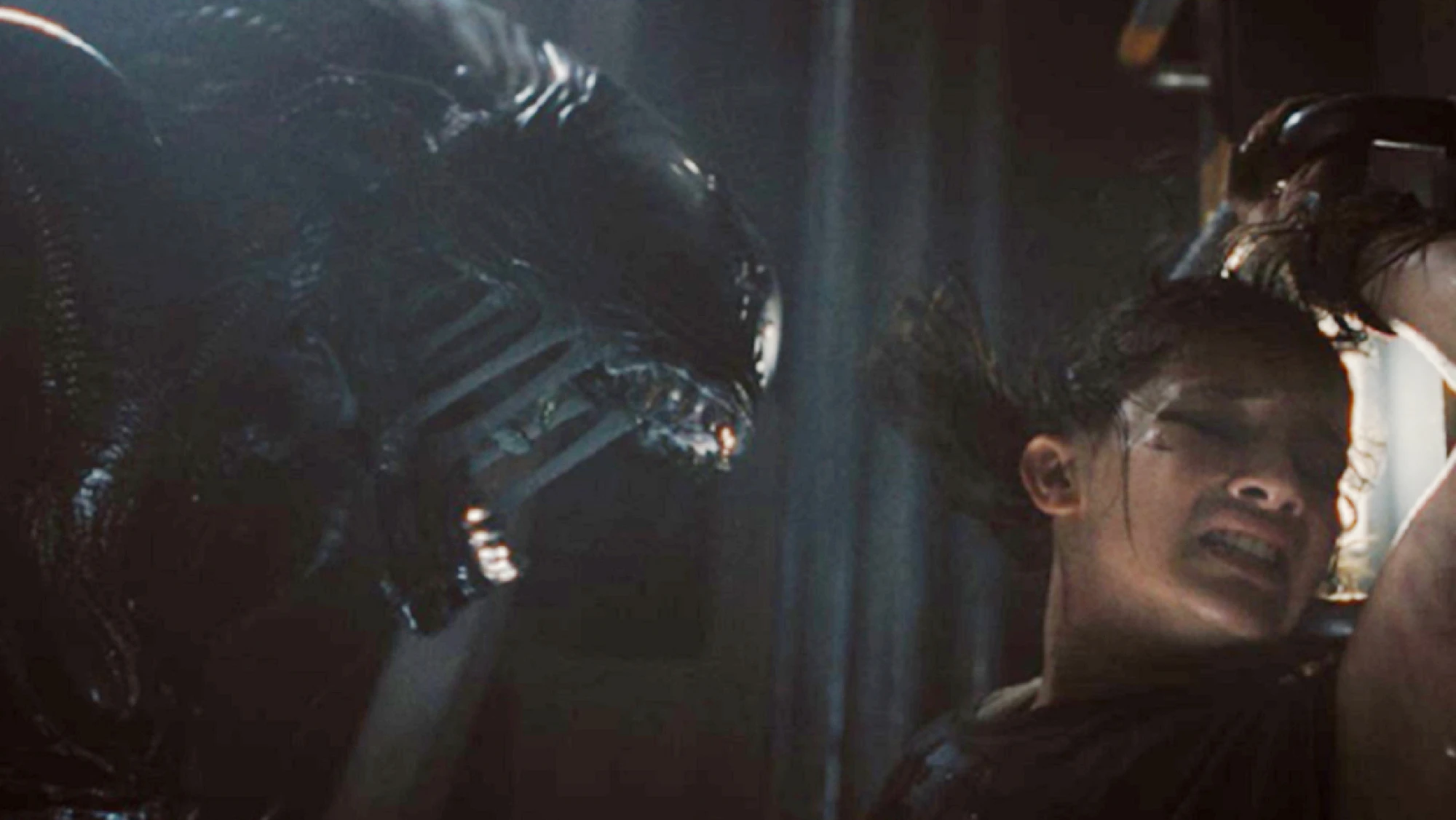 Alien: Romulus: Volviendo al origen de las cintas de terror Alien: Romulus: Volviendo al origen de las cintas de terror