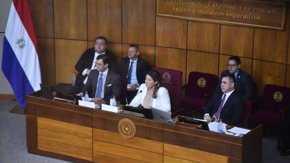 Comisión Bicameral de Presupuesto General de la Nacion PGN 2025 - Renato Delgado.jpg