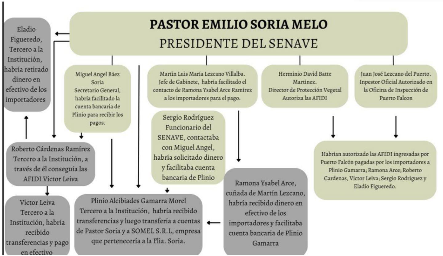 esquema de coima conformado por titular de Senave.png
