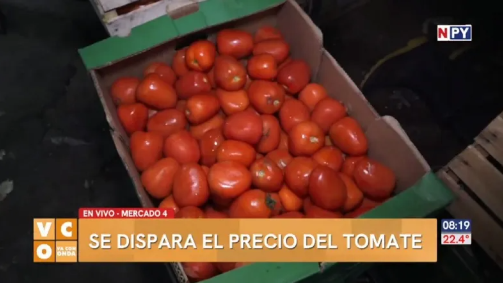 Captura de pantalla 2024-08-22 125139.png