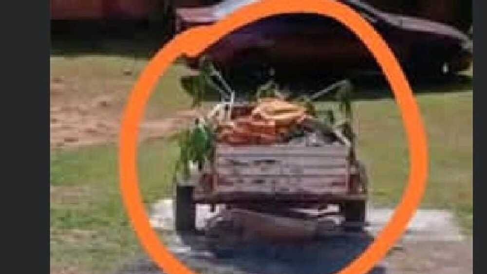 WhatsApp Image 2025-06-03 at 10.59.59 AM.jpeg