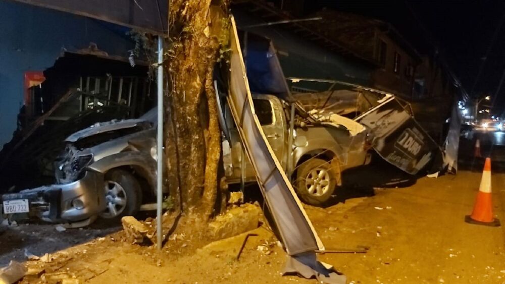 se llevó todo por delante.jpg