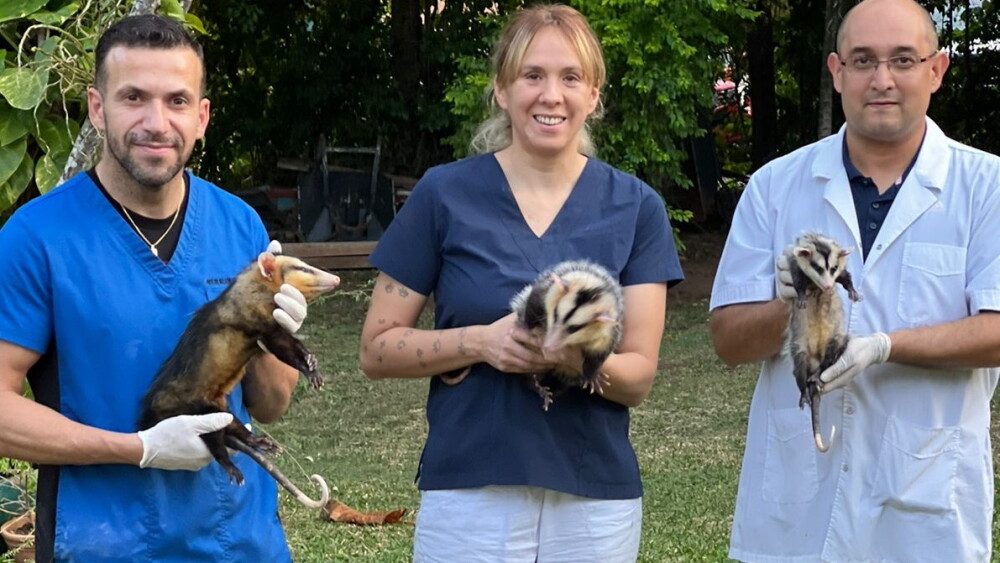 Loiken Knöpfelmacher Lacasa, Nelson Scappini y Jorge Miret.jpg