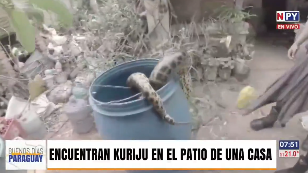 robaron.png
