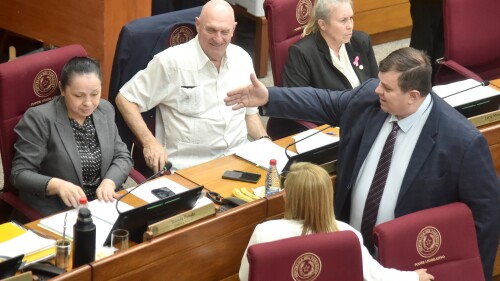 SESIÓN CAMARA DE SENADORES_1_63764455.jpg