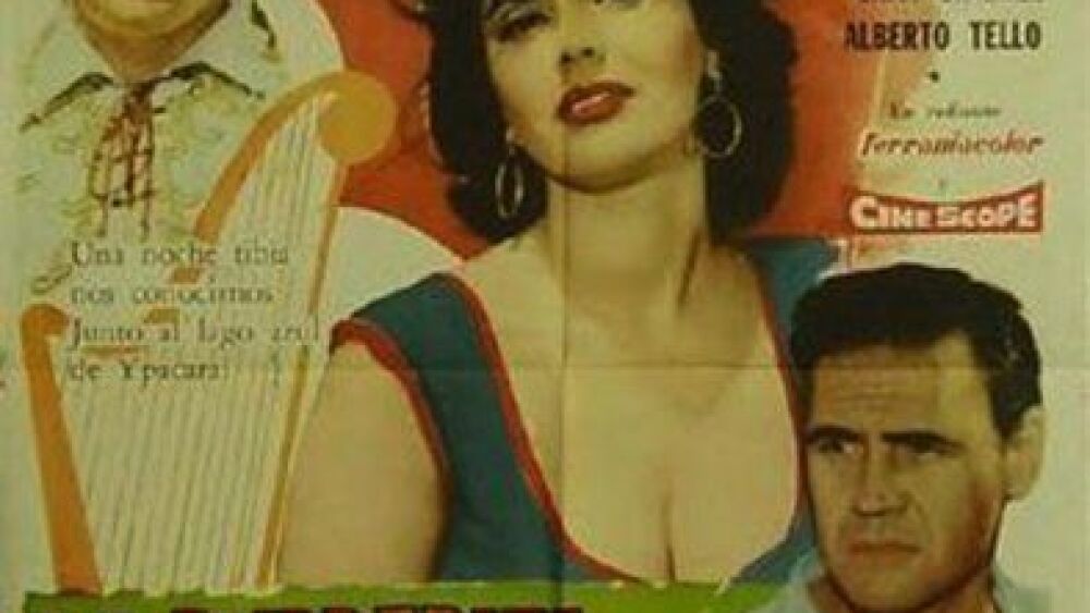 5113173-Libre-432396198_embed