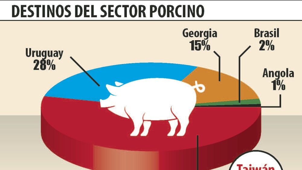 destinos del sector porcino.jpg