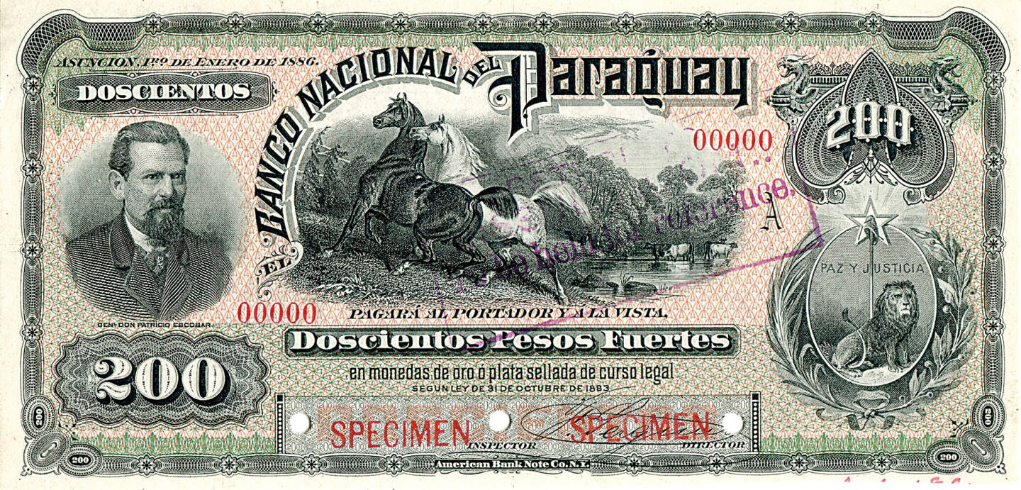 Patricio Escobar Patricio Escobar_47379445_47379915.jpg
