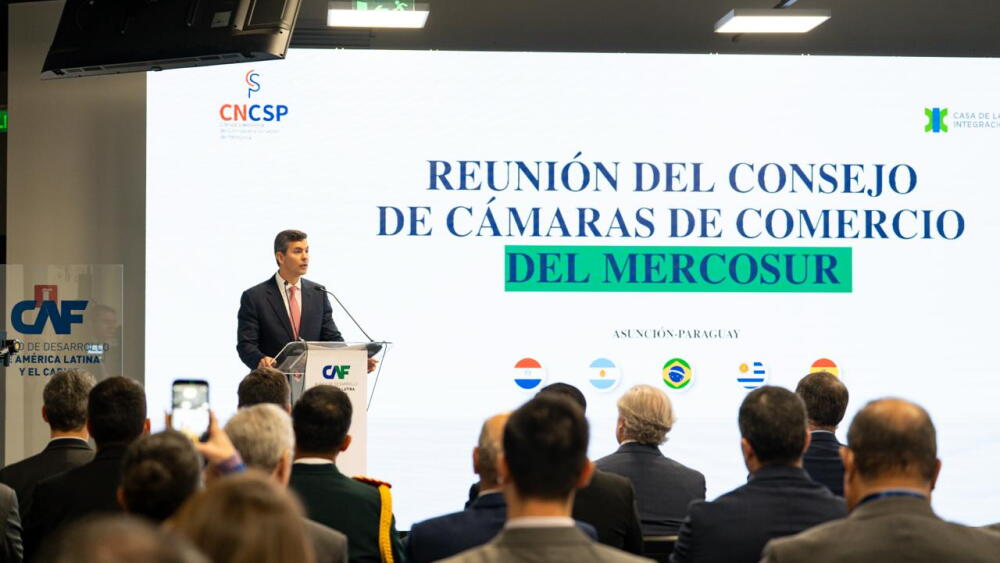 peña consejo mercosur.jpg