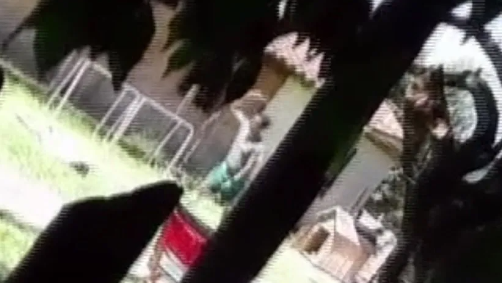 Captura de pantalla 2025-01-18 034713.png