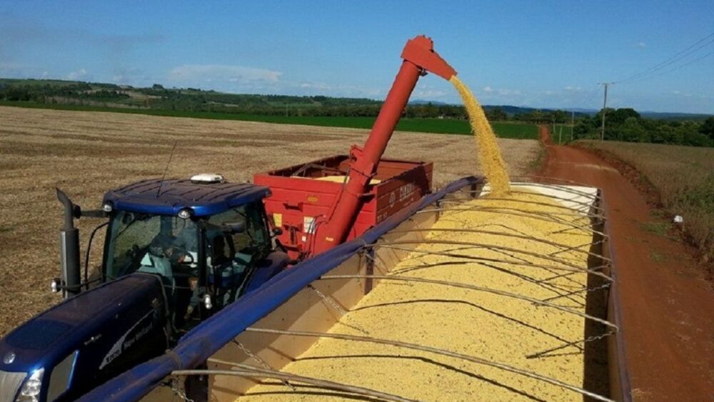 soja Hay pérdidas en cosecha de soja zafriña.jpg