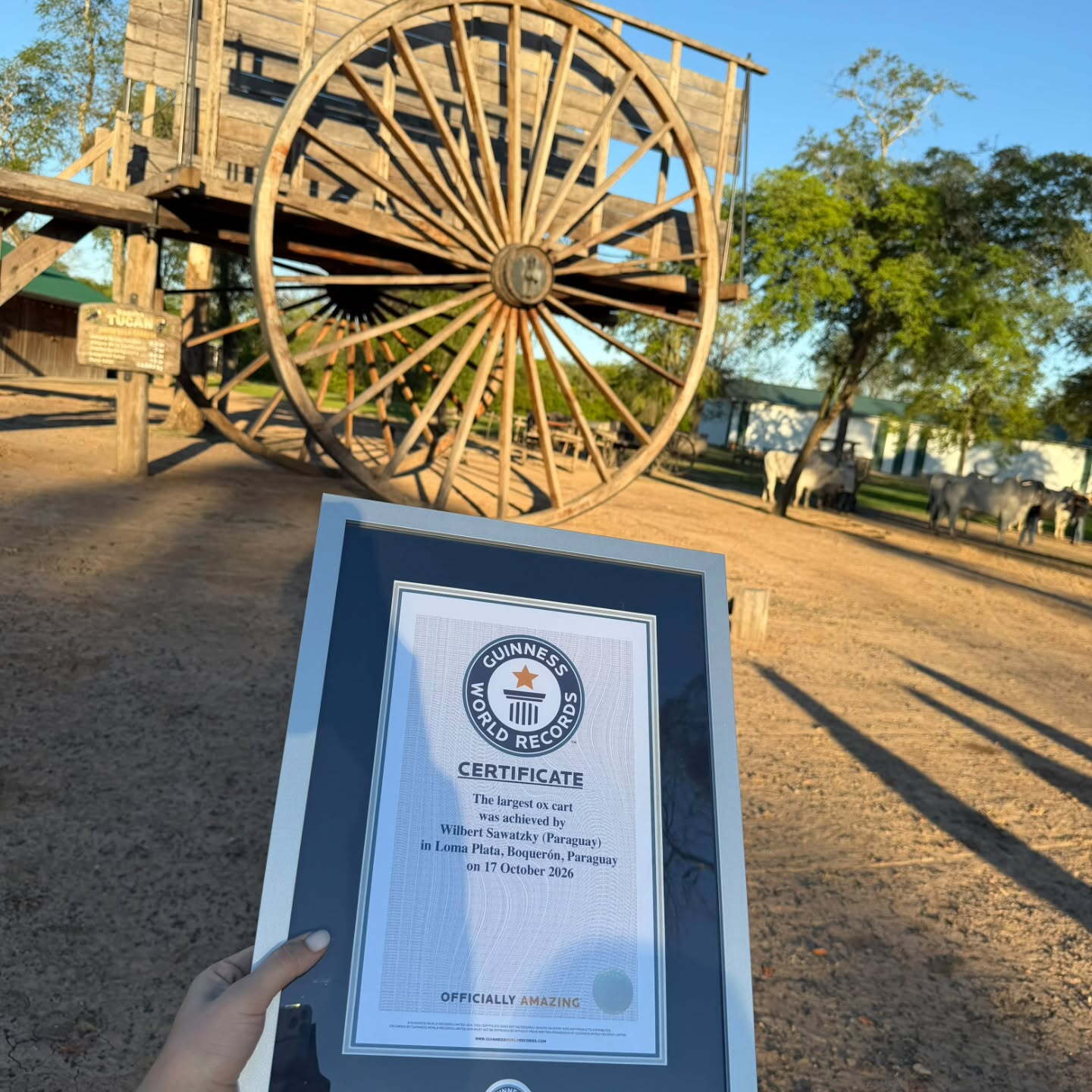 Imagen de la cobertura: Desde el Chaco paraguayo al mundo: Un Récord Guinness para la carreta de bueyes más grande del mundo