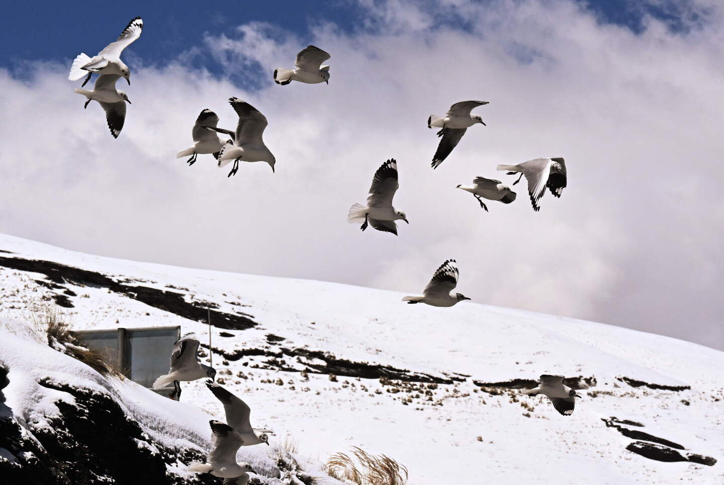 BOLIVIA-WEATHER-SNOW