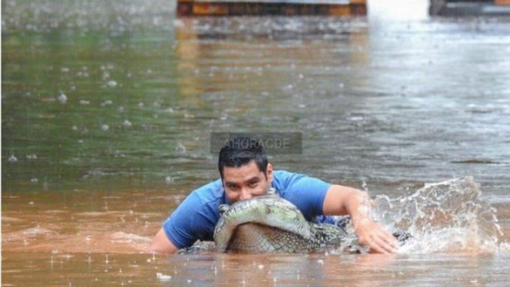 5200469-Libre-993317848_embed