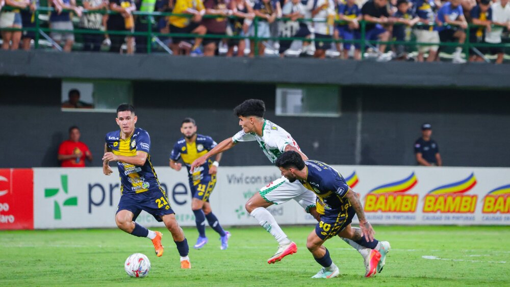 Rubio Ñu Trinidense.jpg