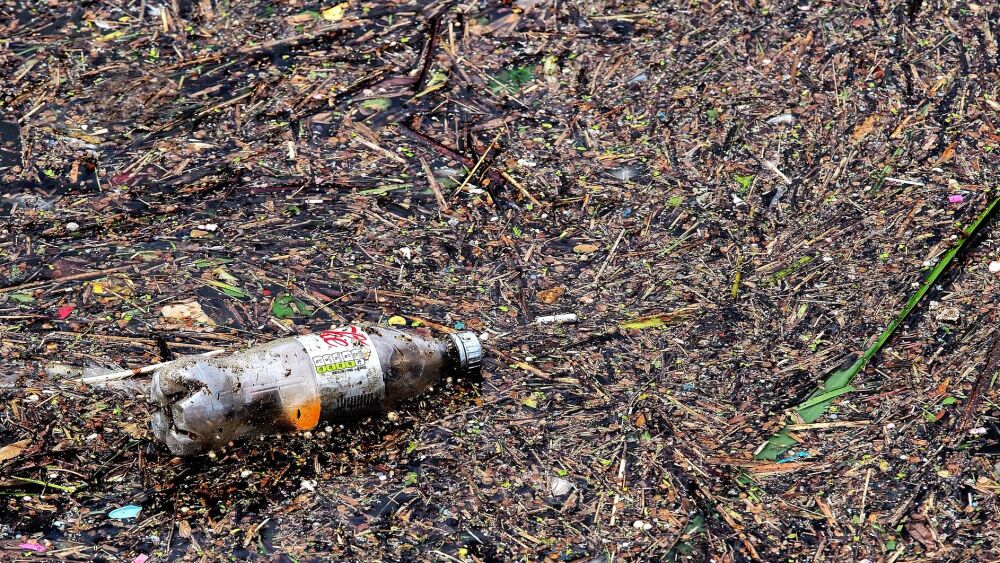 Botella.jpg