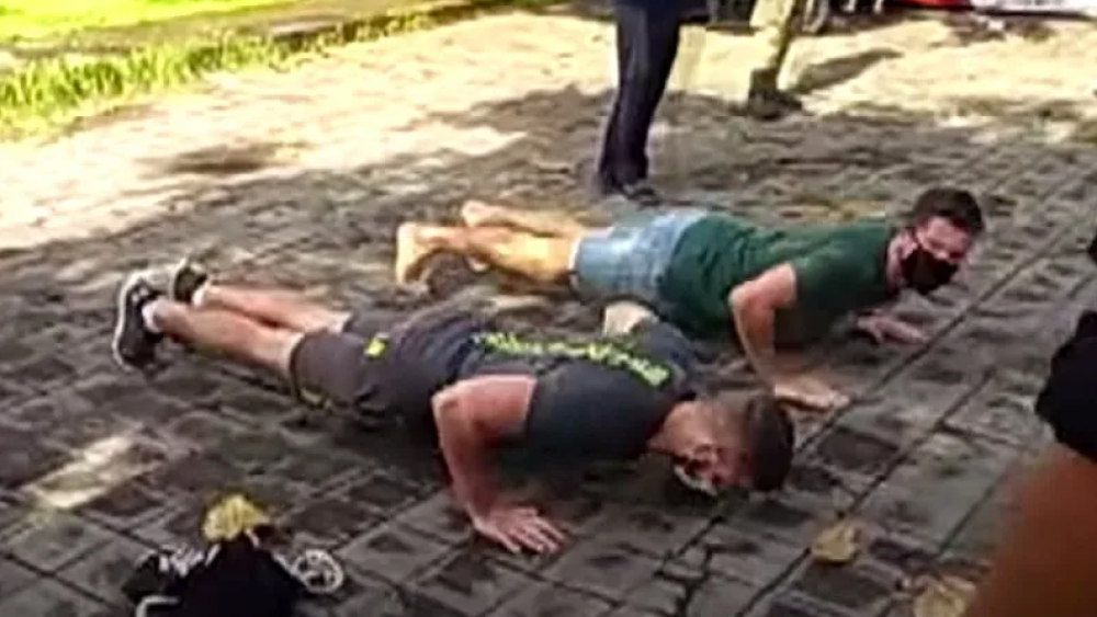 Captura de pantalla 2024-12-04 160536.png